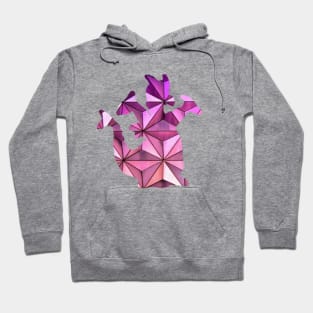 Figment Hoodie